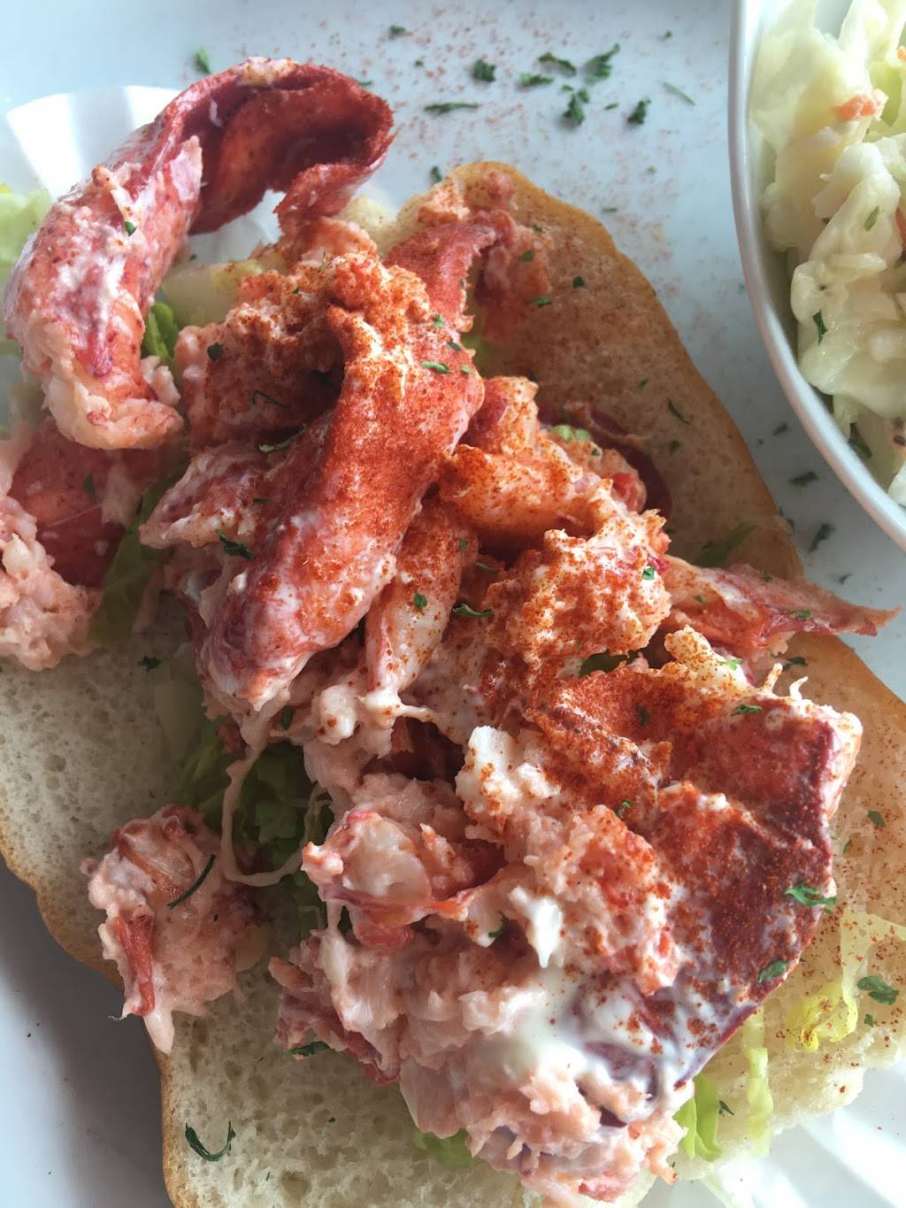 lobster pot | restaurant | 215 Canal Rd, Siesta Key, FL 34242, USA | 9413492323 OR +1 941-349-2323