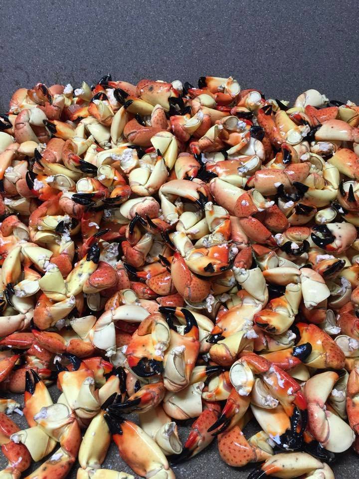 The Crab Plant | restaurant | 201 NW 5th St, Crystal River, FL 34428, USA | 3527954700 OR +1 352-795-4700