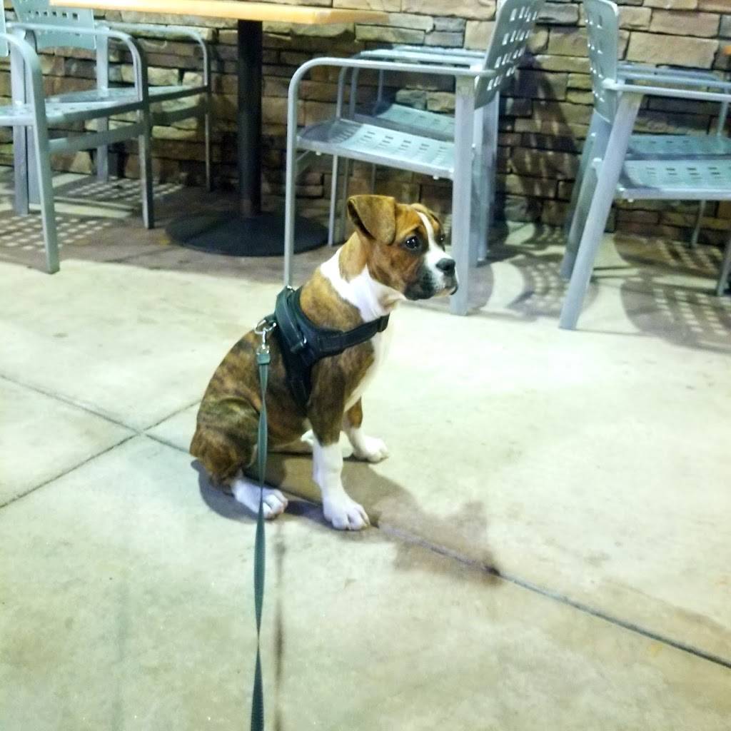 Backstreet Brewery | restaurant | 14450 Culver Dr F, Irvine, CA 92604, USA | 9498570160 OR +1 949-857-0160