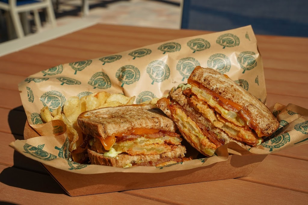 The Galloping Gourmet at Black Prong- Food Trailer | restaurant | 450 SE Co Rd 337, Bronson, FL 32668, USA | 3523530427 OR +1 352-353-0427