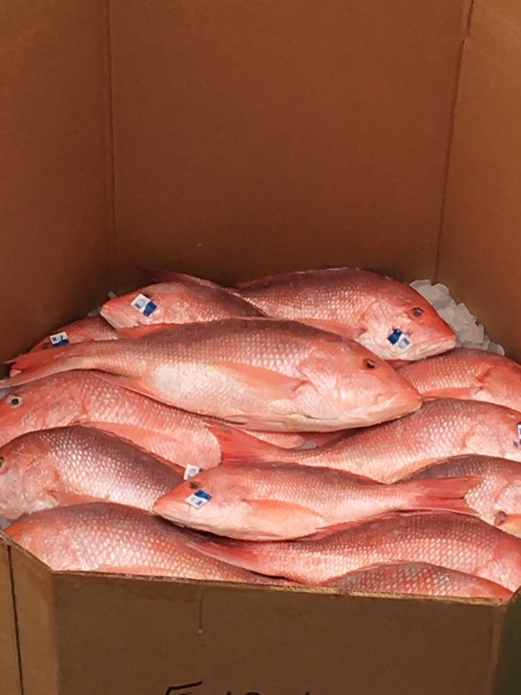 Good Earth Foods Inc | restaurant | 5012 E Broadway Ave, Tampa, FL 33619, USA | 8138711081 OR +1 813-871-1081