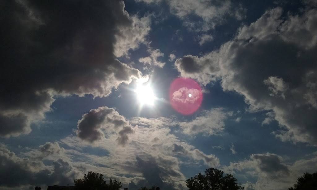 Pekin Pavillion | restaurant | 6905 E Jefferson Ave, Detroit, MI 48207, USA | 3132591510 OR +1 313-259-1510