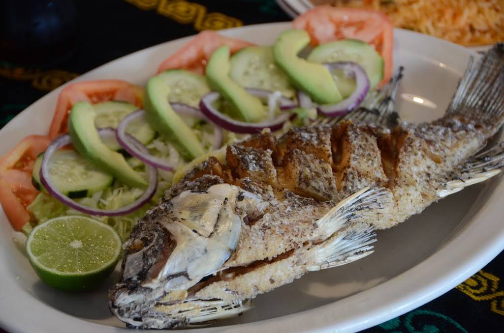 El Senor Cactus Authentic Mexican Cuisine | restaurant | 1534 S Gilbert St, Iowa City, IA 52240, USA | 3193512179 OR +1 319-351-2179