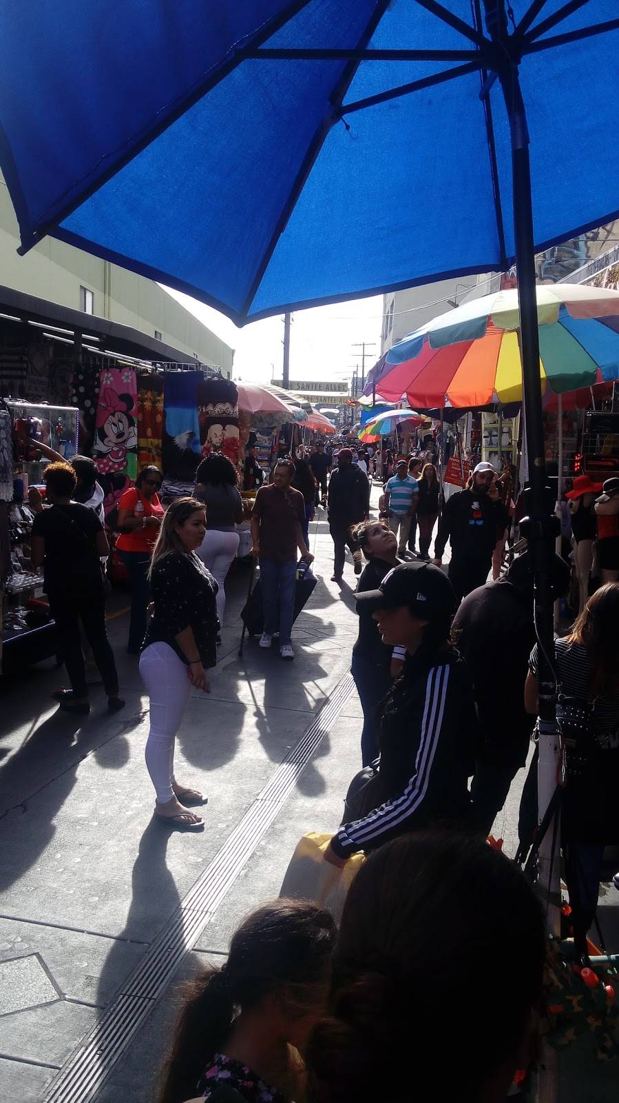 El Salvador | restaurant | 2500 Pico Blvd, Los Angeles, CA 90019, USA | 2133886635 OR +1 213-388-6635