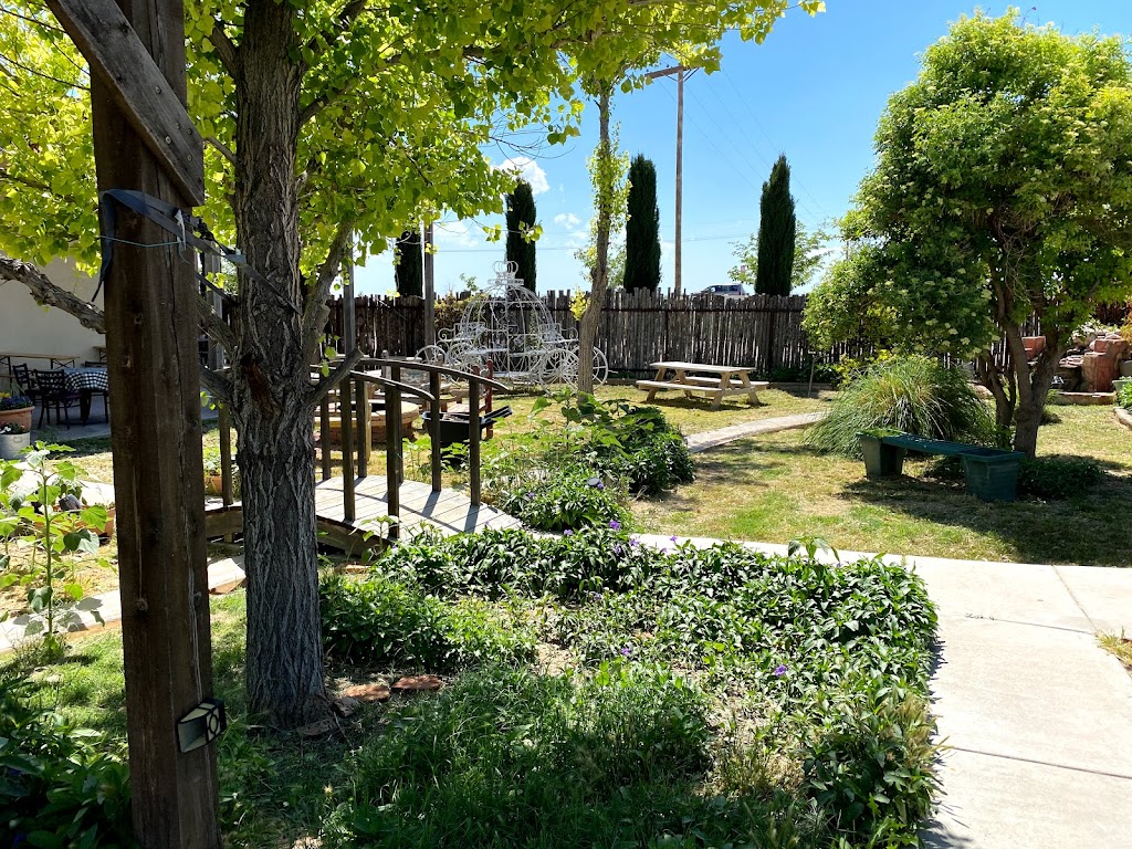 Balzano Family Vineyard & Pumpkin Patch | restaurant | 5230 7 Rivers Hwy, Carlsbad, NM 88220, USA | 5755023317 OR +1 575-502-3317