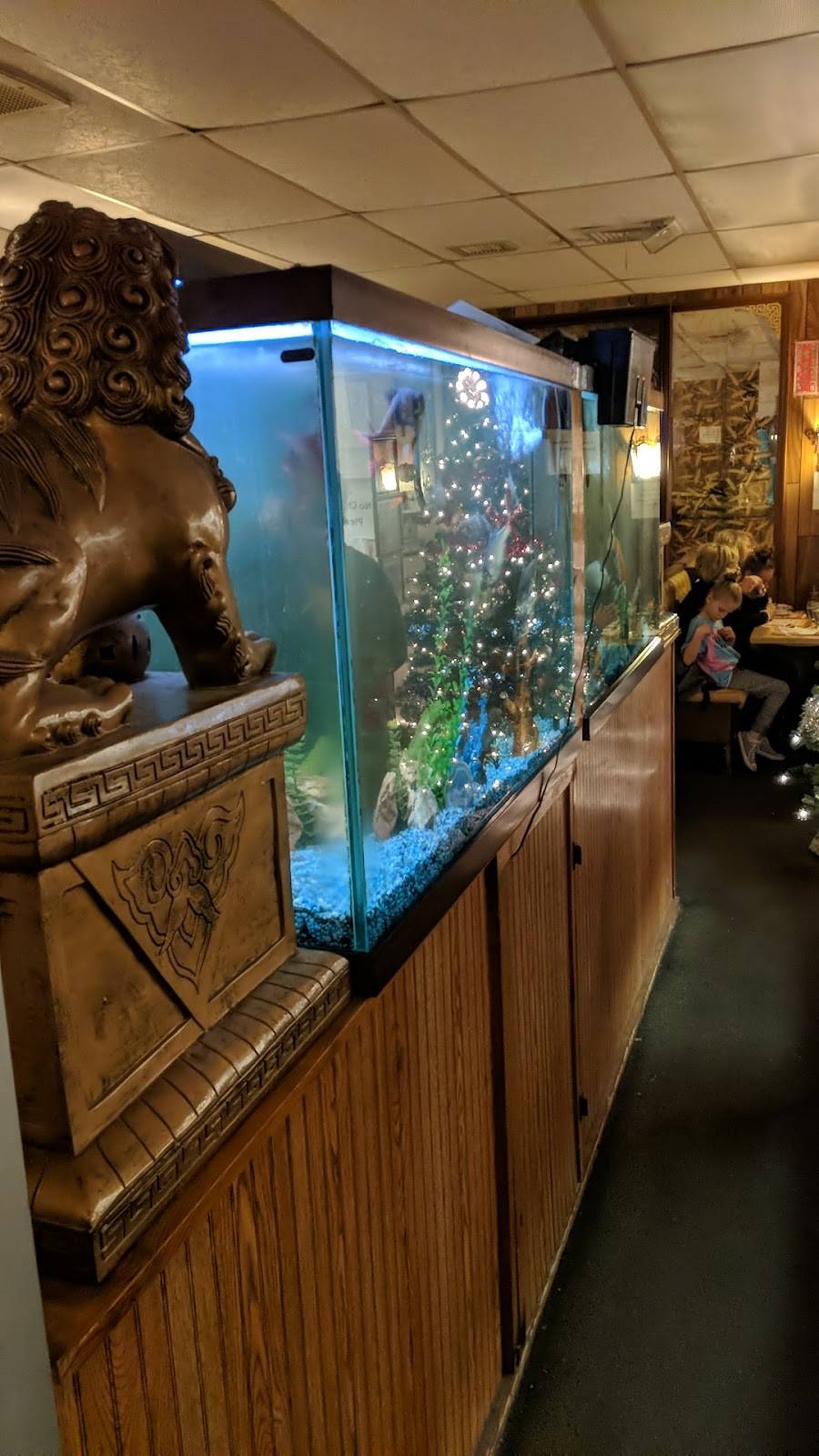 China Town Chinese Restaurant | restaurant | 465 US-54, Camdenton, MO 65020, USA | 5733464962 OR +1 573-346-4962