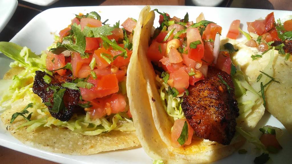 The Vig Arcadia | restaurant | 4041 N 40th St, Phoenix, AZ 85018, USA | 6025537227 OR +1 602-553-7227