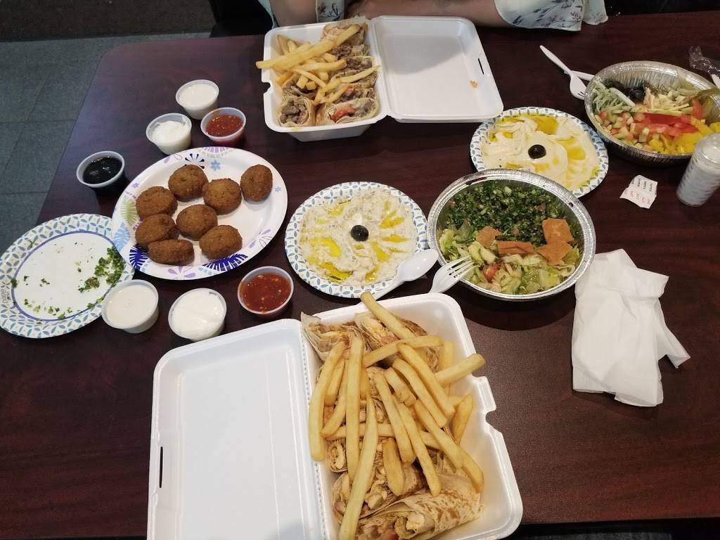 Mr Falafel | restaurant | 149 Marshall St, Syracuse, NY 13210, USA | 3153959595 OR +1 315-395-9595