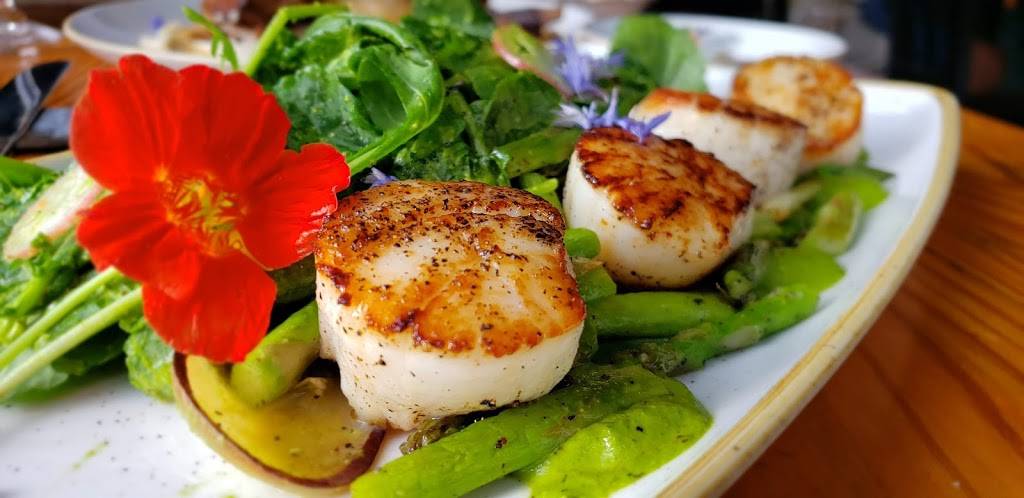 Water Street Kitchen | restaurant | 56 Water St, Woods Hole, MA 02543, USA | 5085405656 OR +1 508-540-5656