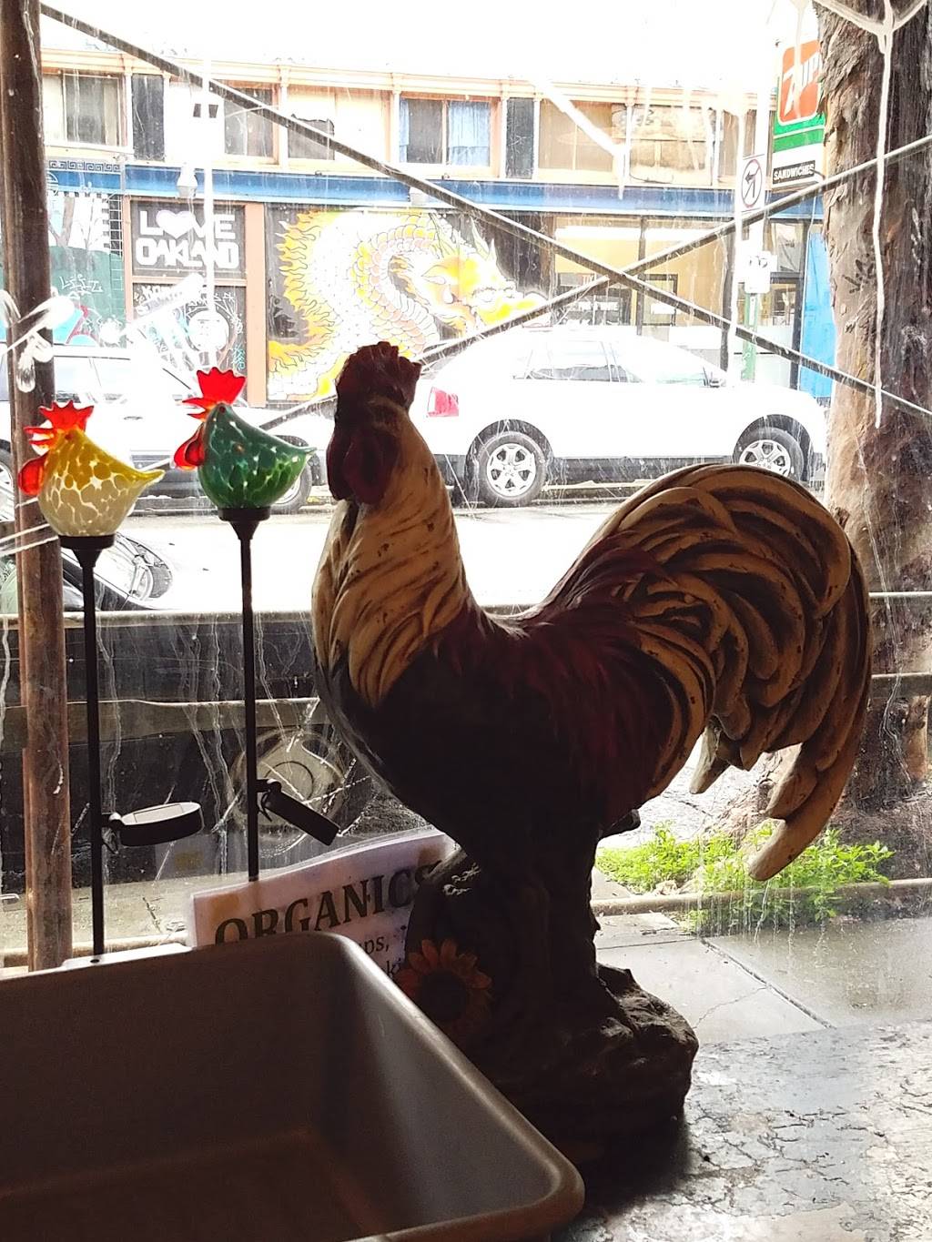 Garden House | restaurant | 380 15th St, Oakland, CA 94612, USA | 5108359515 OR +1 510-835-9515