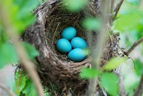 San Francisco Tienda Mexicana | restaurant | 12050 SW Allen Blvd, Beaverton, OR 97005, USA | 5033729563 OR +1 503-372-9563