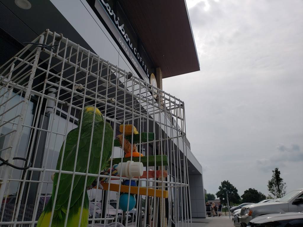 Caribou Coffee | cafe | 880 S Moorland Rd, Brookfield, WI 53005, USA | 2626492269 OR +1 262-649-2269