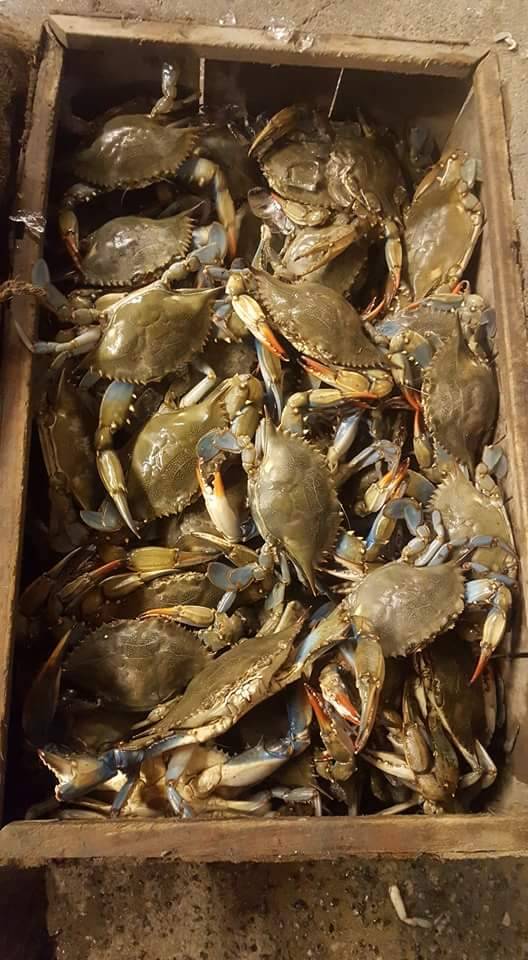 Original Nancys Seafood Market | restaurant | 2211 Skidaway Rd, Savannah, GA 31404, USA | 9122366262 OR +1 912-236-6262