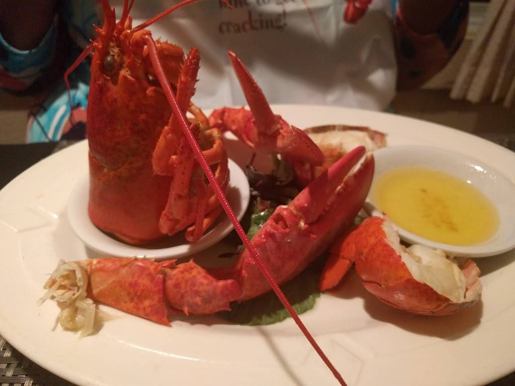 Captain Scotts Seafood Restaurant | restaurant | 71 Tupper Rd, Sandwich, MA 02563, USA | 5088881675 OR +1 508-888-1675
