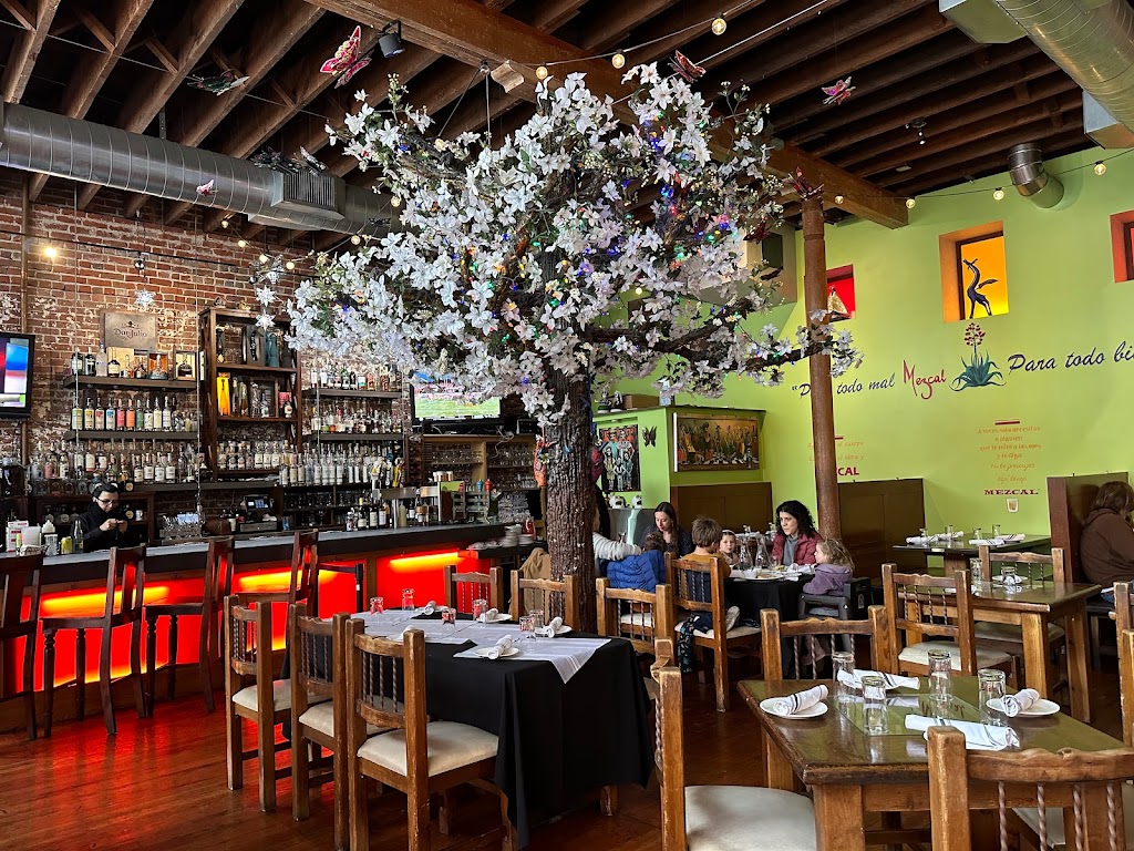 Mezcal Restaurant | restaurant | 25 W San Fernando St, San Jose, CA 95113, USA | 4082839595 OR +1 408-283-9595