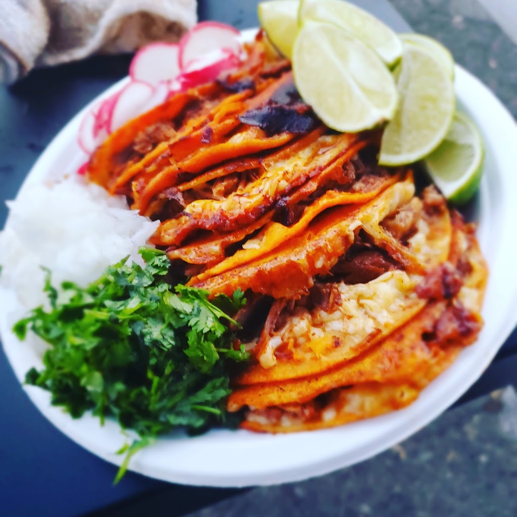 Gordoz Tacos | restaurant | 225 Rose Ct, Campbell, CA 95008, USA | 4085069217 OR +1 408-506-9217