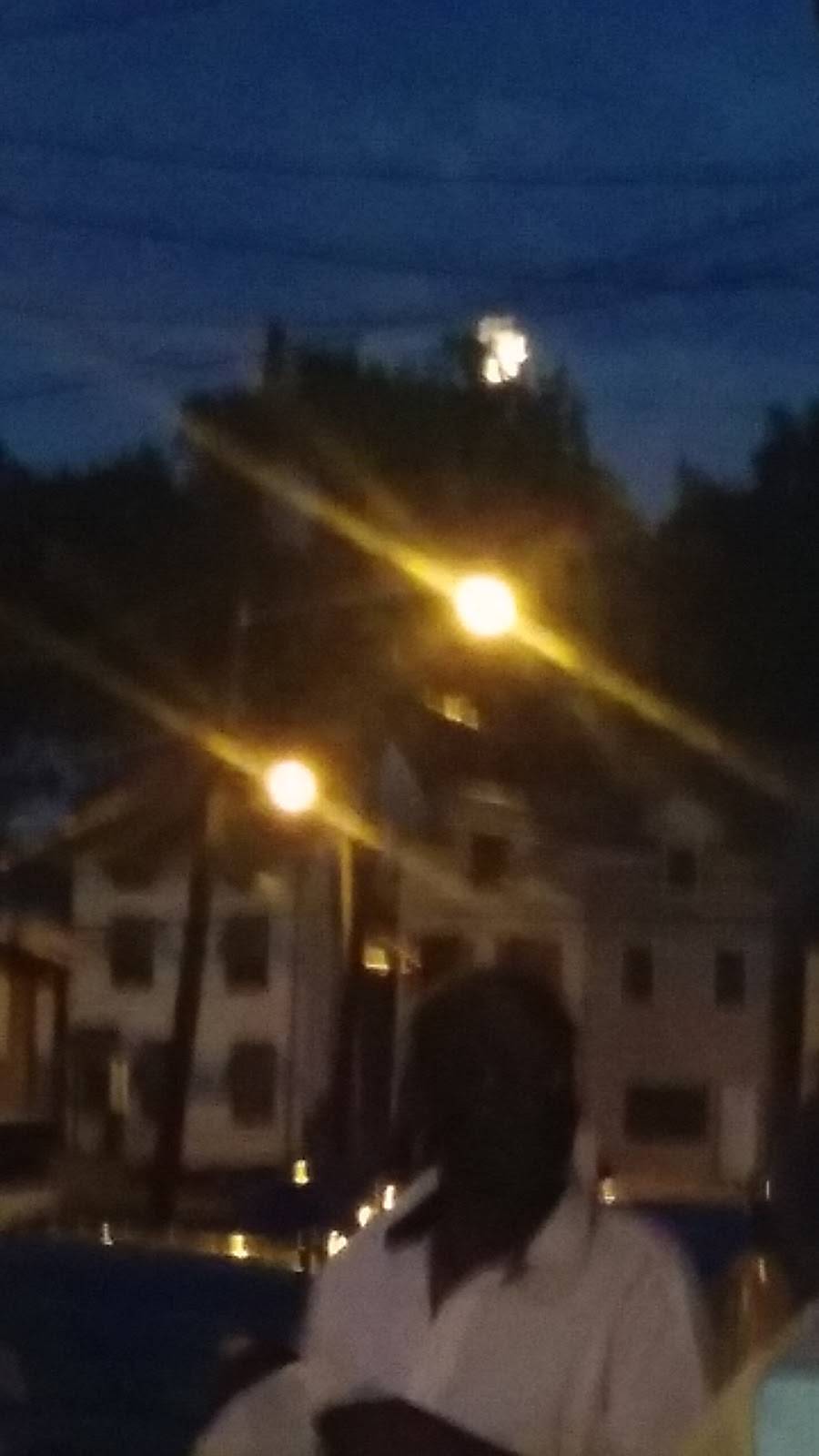 DC Caribbean and American Restaurant | restaurant | 204 Brunswick Ave B, Trenton, NJ 08618, USA | 6097578156 OR +1 609-757-8156