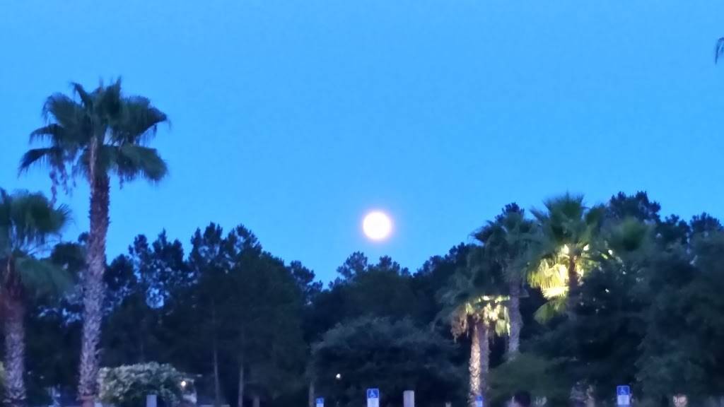 Papa Johns Pizza | restaurant | 9542 Argyle Forest Blvd Suite C 11, Jacksonville, FL 32222, USA | 9045732696 OR +1 904-573-2696