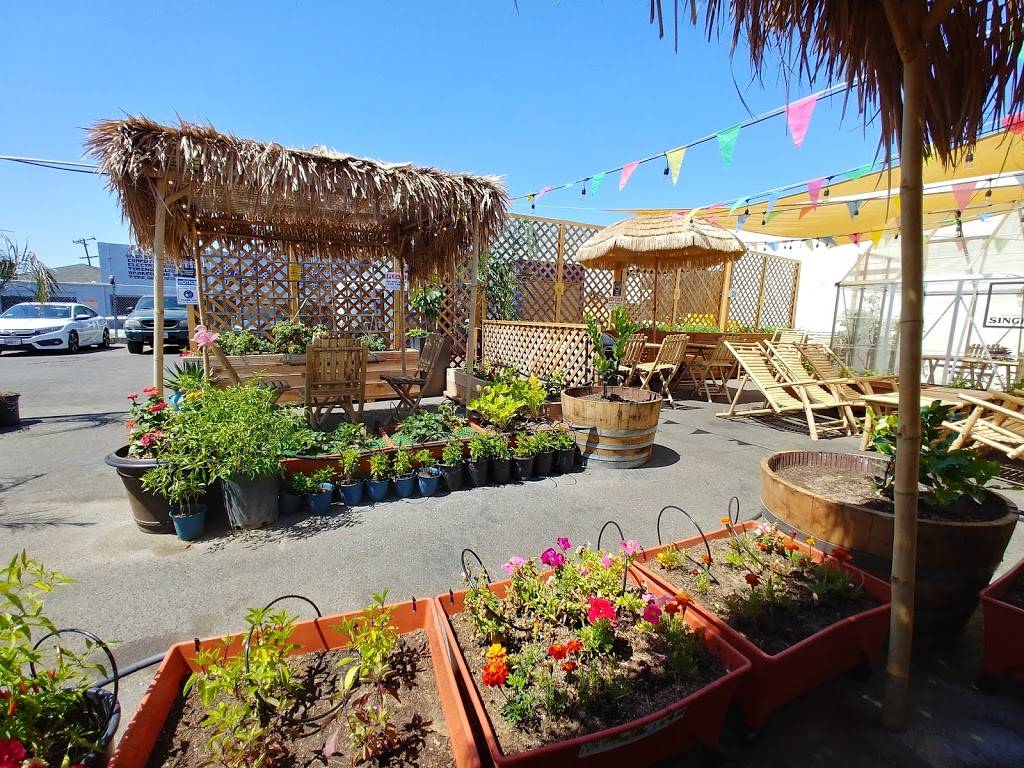 Farmhouse Kitchen Thai Express | restaurant | 16695 E 14th St, San Leandro, CA 94578, USA | 5102447810 OR +1 510-244-7810