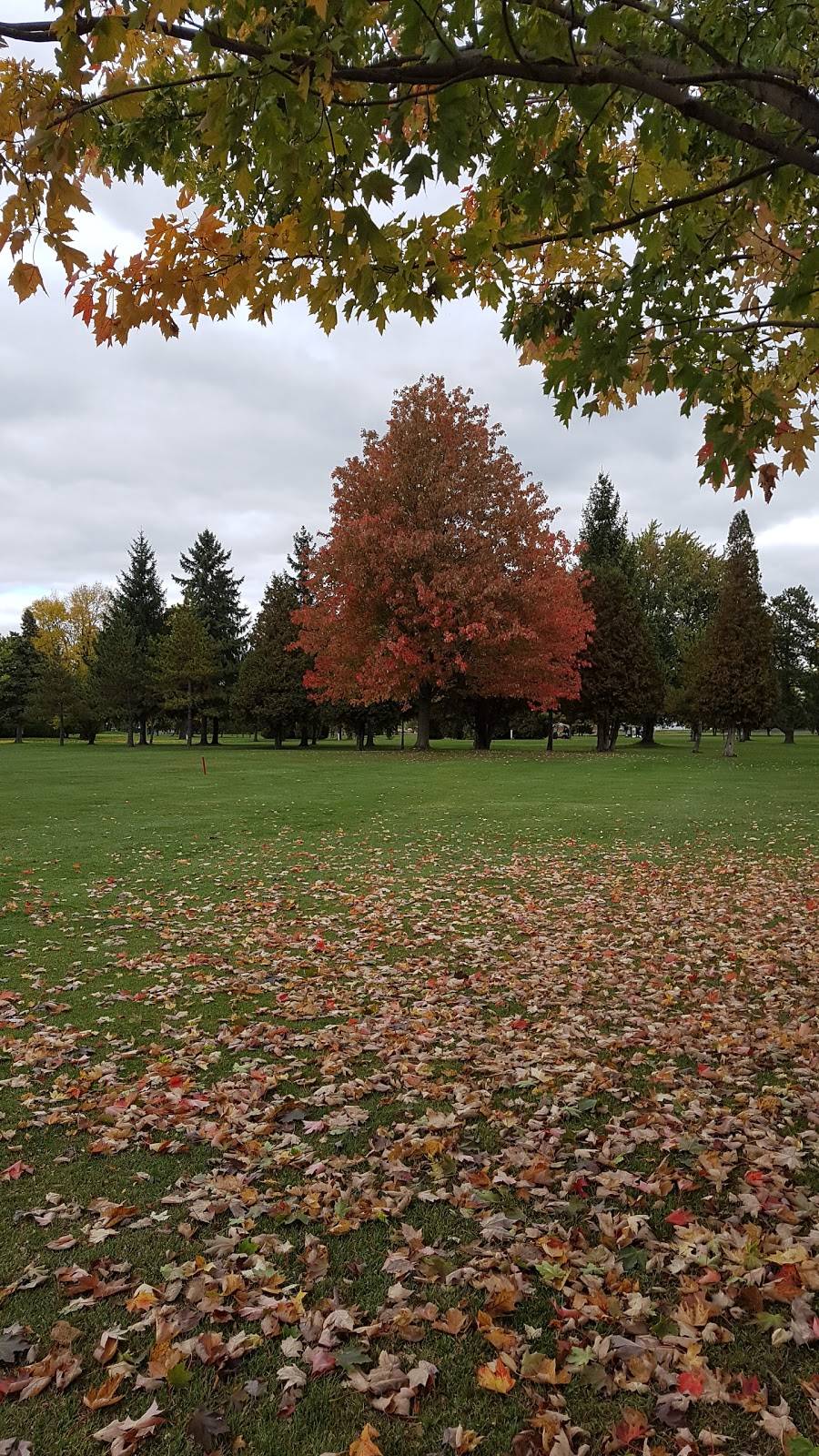 Morrisburg Golf Club | restaurant | 15 Laurier Dr, Morrisburg, ON K0C 1X0, Canada | 6135433282 OR +1 613-543-3282