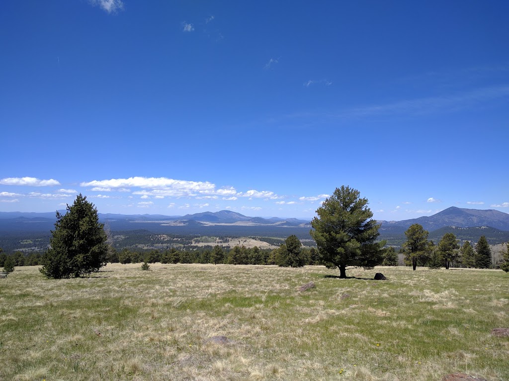 Arizona Snowbowl | restaurant | 9300 N Snow Bowl Rd, Flagstaff, AZ 86001, USA | 9287791951 OR +1 928-779-1951