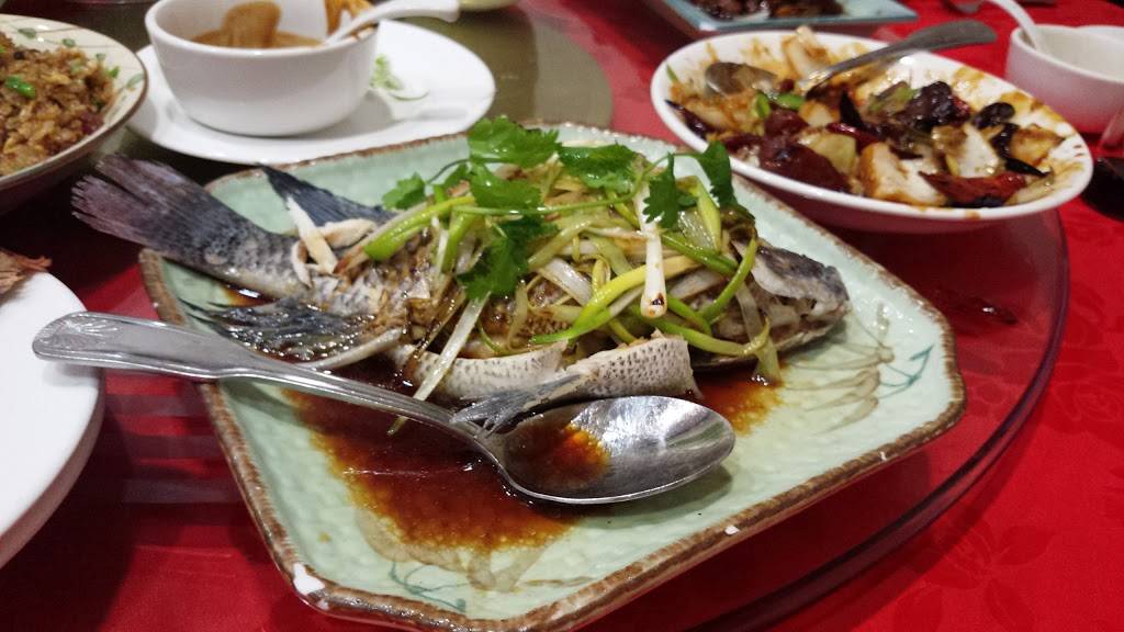 Moon House | restaurant | 11058 Santa Monica Blvd, Los Angeles, CA 90025, USA | 3109669988 OR +1 310-966-9988