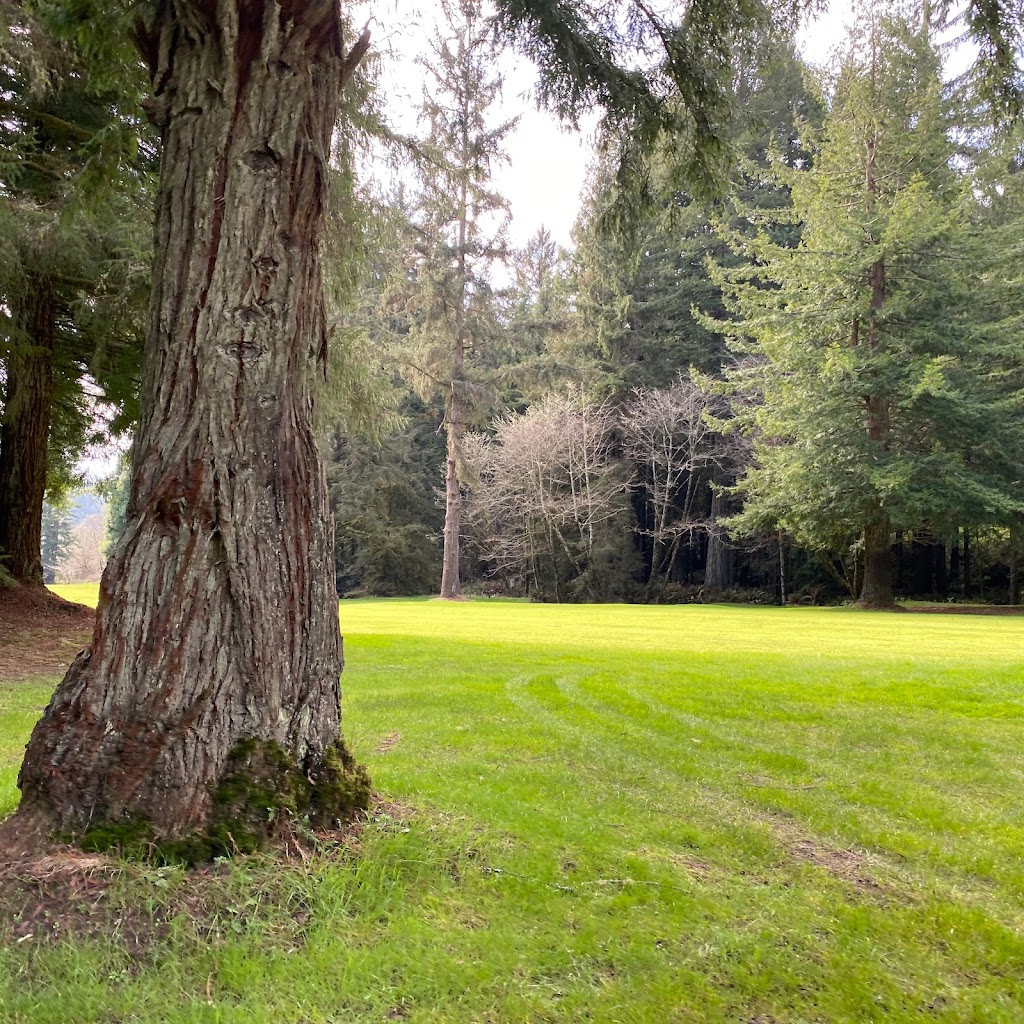 Baywood Golf & Country Club | restaurant | 3600 Buttermilk Ln, Arcata, CA 95521, USA | 7078223686 OR +1 707-822-3686