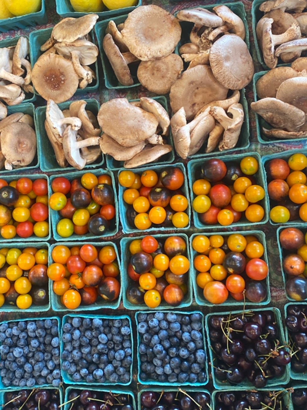 Slow Fox Farm Brewery | meal takeaway | 41 Lake Dr, Rhinebeck, NY 12572, USA | 8452660086 OR +1 845-266-0086