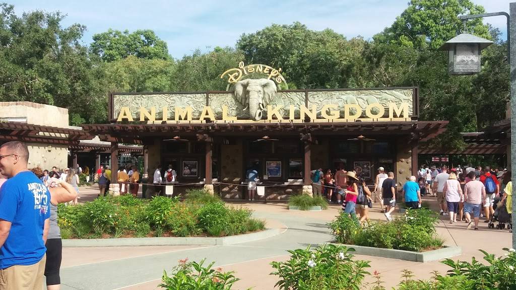 Rainforest Cafe | restaurant | 505 Rain Forest Rd, Lake Buena Vista, FL 32830, USA | 4079389100 OR +1 407-938-9100