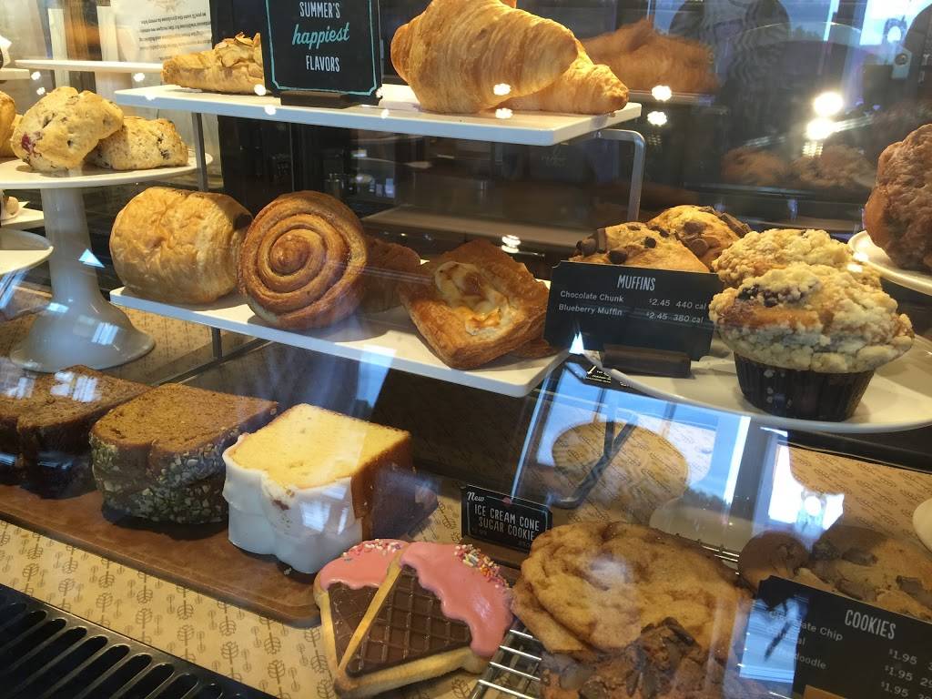 Starbucks | cafe | 9914 W Belleview Ave Unit A-1, Littleton, CO 80123, USA | 3039044206 OR +1 303-904-4206