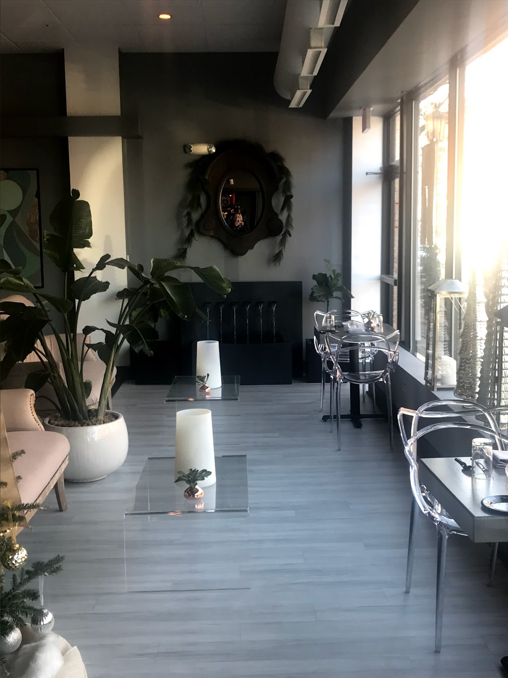 Altiro Latin Fusion | cafe | 107 N Oak Park Ave, Oak Park, IL 60301, USA | 7084345077 OR +1 708-434-5077