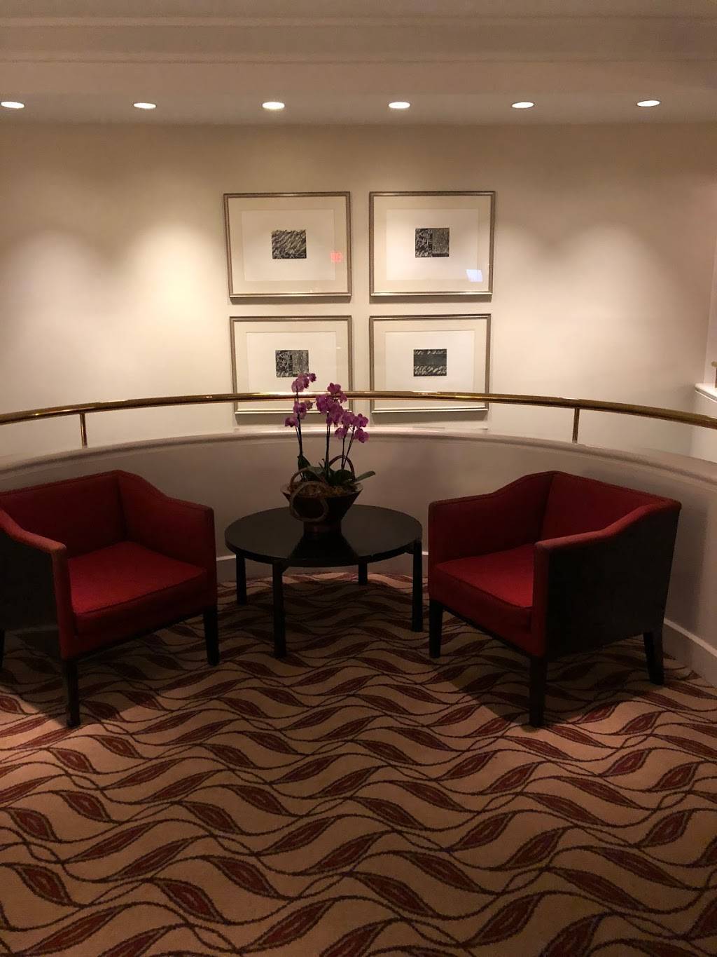 Armanis | restaurant | 2900 Bayport Dr, Tampa, FL 33607, USA | 8132076800 OR +1 813-207-6800