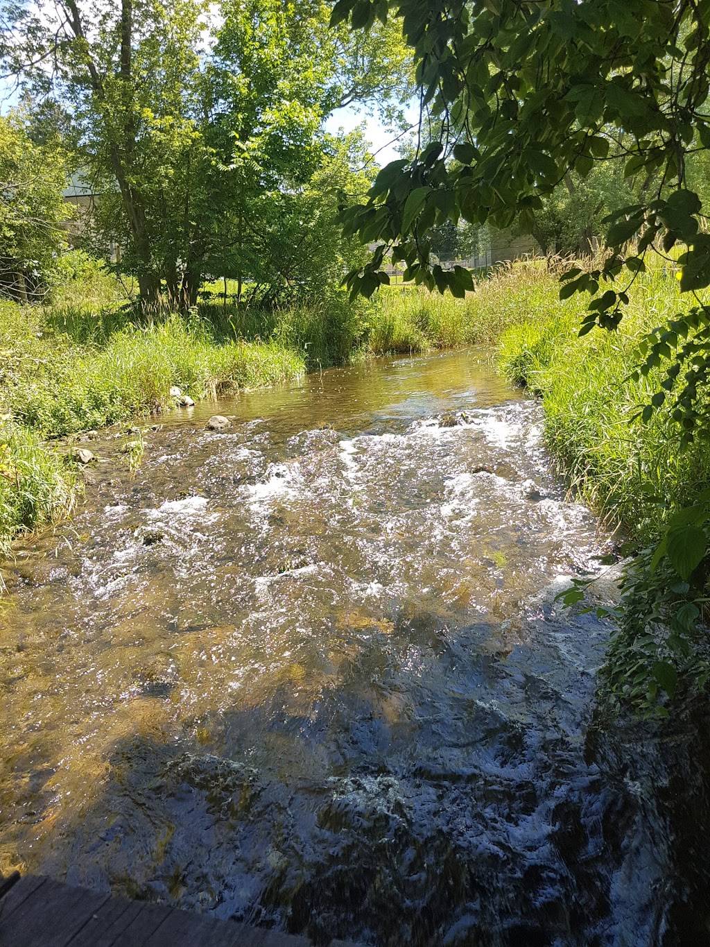Megan & Robs Burger Box | restaurant | 130 Elora St, Mildmay, ON N0G 2J0, Canada | 5193675430 OR +1 519-367-5430