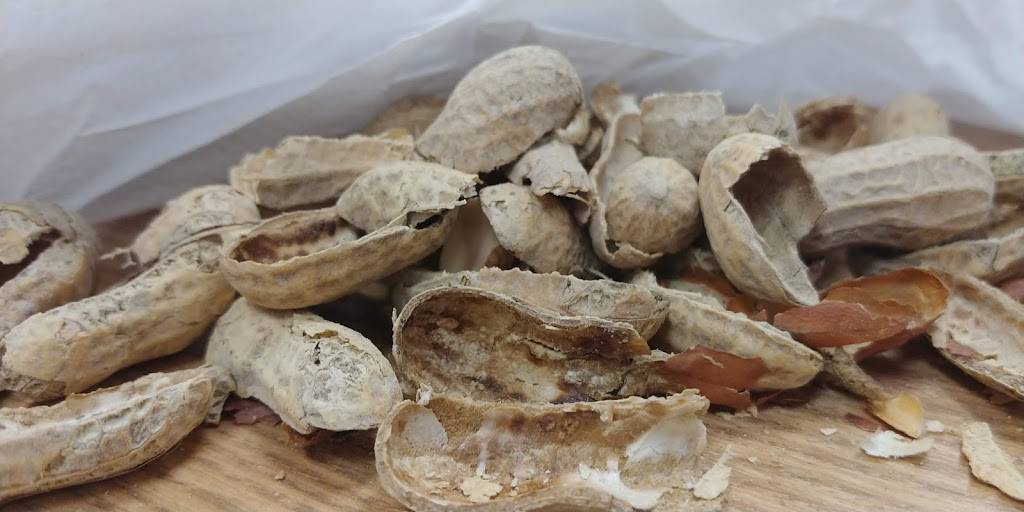 Five Guys | meal takeaway | 3841 W Kennedy Blvd, Tampa, FL 33609, USA | 8138790300 OR +1 813-879-0300