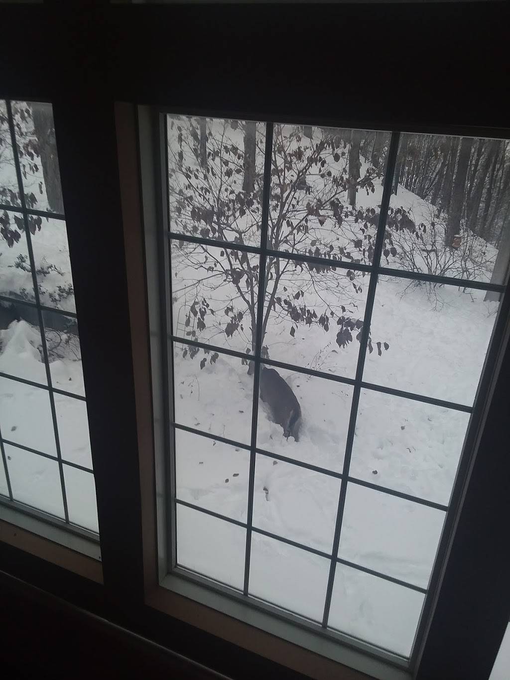 Pascarellas Restaurant | restaurant | 12 Washington St, Cattaraugus, NY 14719, USA | 7162573394 OR +1 716-257-3394