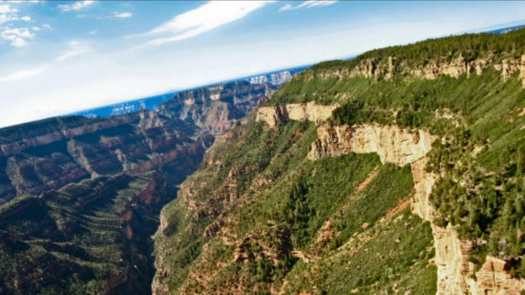 Panda Express | restaurant | 3923 E Thunderbird Rd #111, Phoenix, AZ 85032, USA | 6029239901 OR +1 602-923-9901