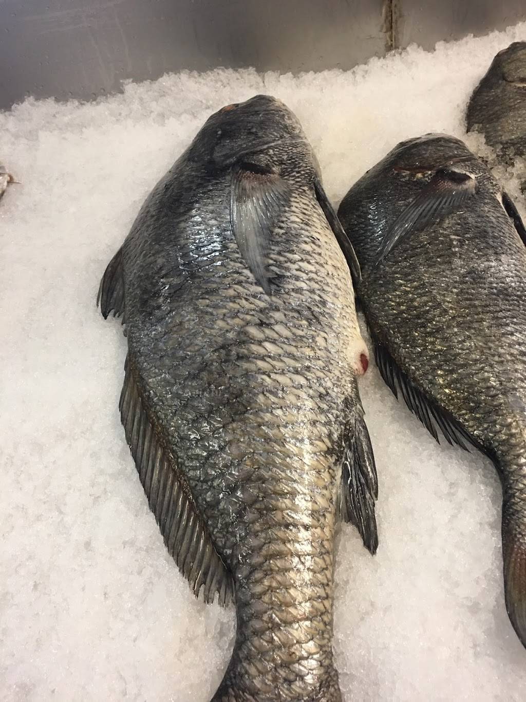 Fresh Catch Seafood Market & Carryout Restaurant | meal takeaway | 101 Hoskins St, High Point, NC 27260, USA | 3368844110 OR +1 336-884-4110