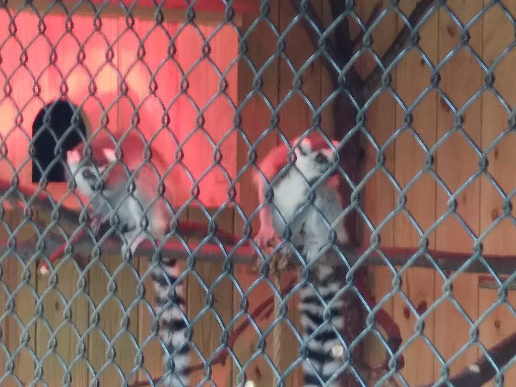 Bama Bucks | restaurant | 292 Bryant Rd, Sardis City, AL 35956, USA | 2562819234 OR +1 256-281-9234