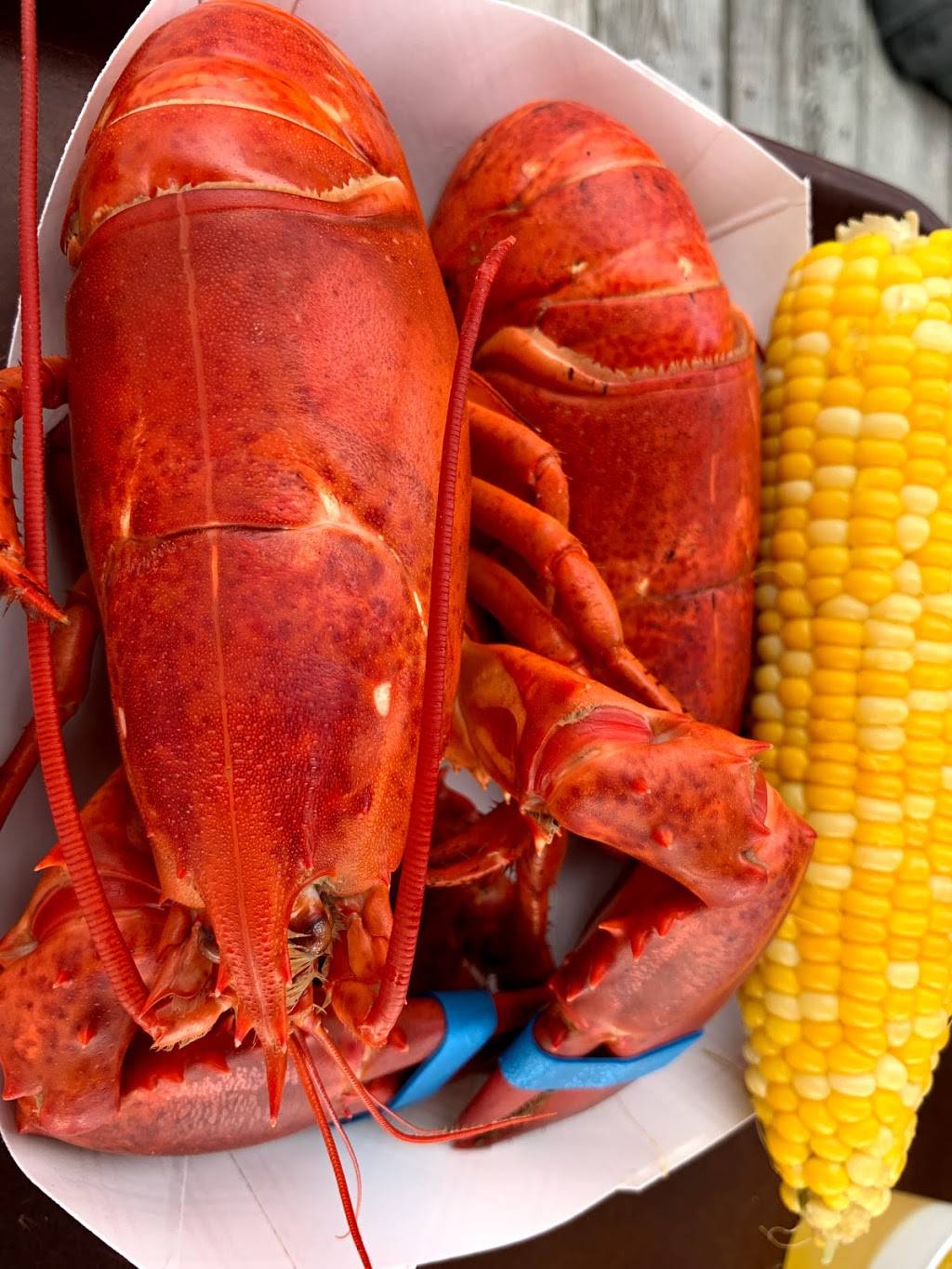Boothbay Lobster Wharf | restaurant | 97 Atlantic Ave, Boothbay Harbor, ME 04538, USA | 2076334900 OR +1 207-633-4900