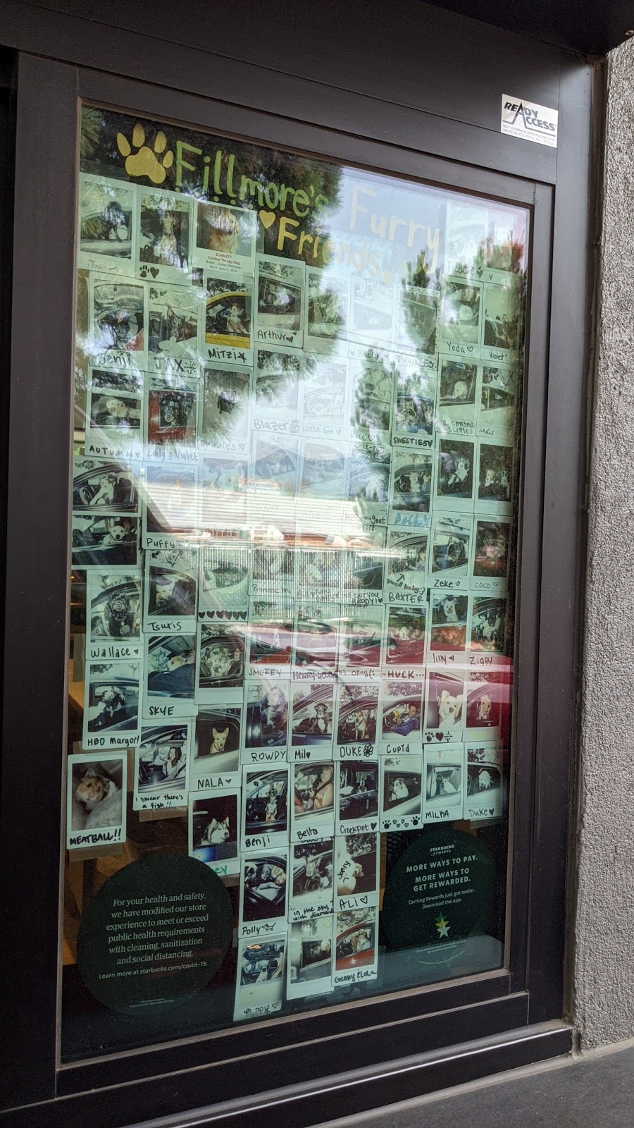 Starbucks | cafe | 170 W Fillmore St, Colorado Springs, CO 80907, USA | 7194338319 OR +1 719-433-8319