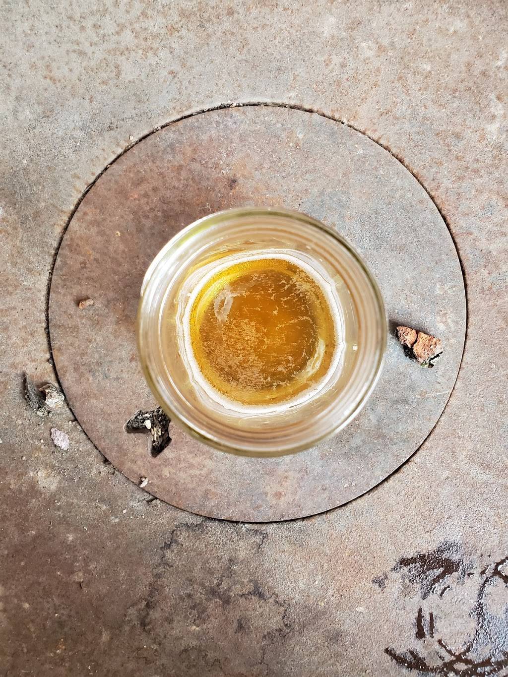 Mountain State Brewing Co | restaurant | 1 Nelson Blvd, Thomas, WV 26292, USA | 3044634500 OR +1 304-463-4500