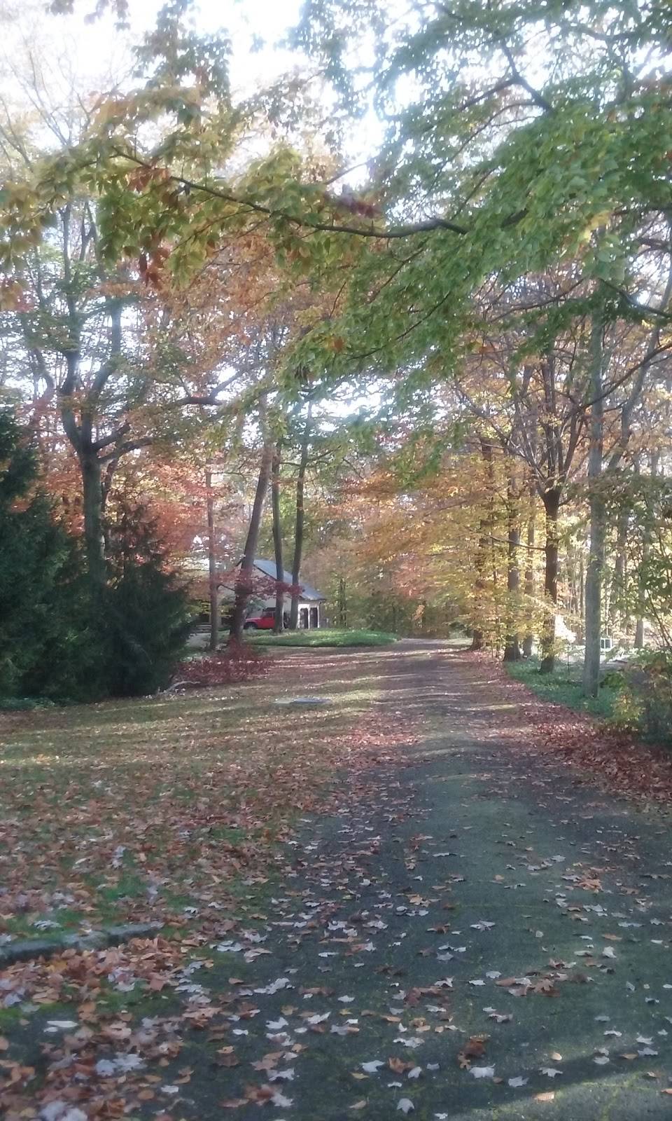 peter the greek house number | restaurant | 456 Cheese Spring Rd, New Canaan, CT 06840, USA | 2035243587 OR +1 203-524-3587