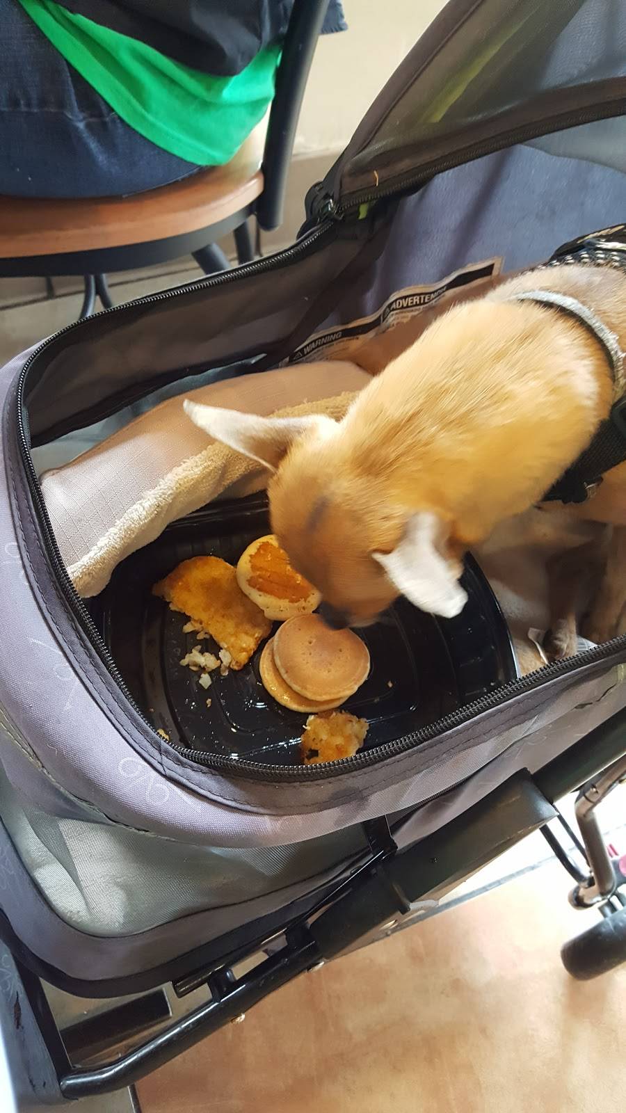 Jack in the Box | restaurant | 3330 Nameoki Rd, Granite City, IL 62040, USA | 6188778884 OR +1 618-877-8884