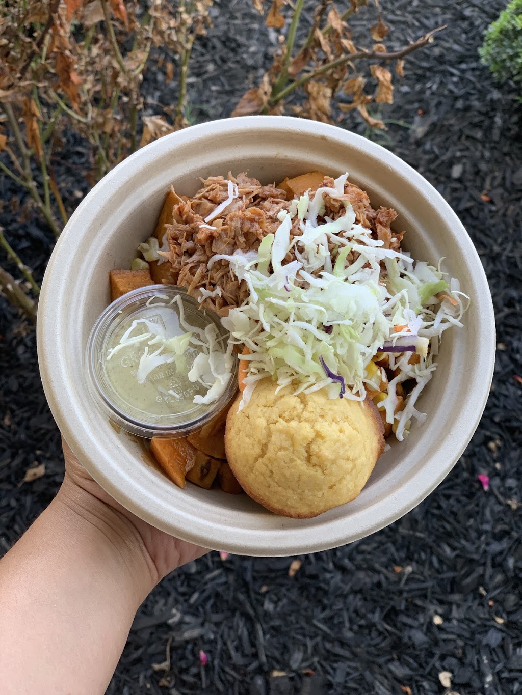 The Veggie | restaurant | 2211 Seminole Drive, Railroad Room 5, Huntsville, AL 35805, USA | 2564896310 OR +1 256-489-6310