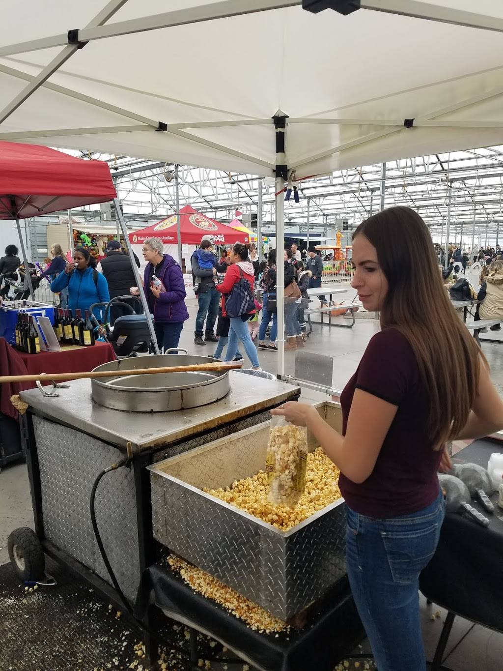 KPs Kettle Corn & Concessions | restaurant | 100 Clark St, Canandaigua, NY 14424, USA | 5853945353 OR +1 585-394-5353