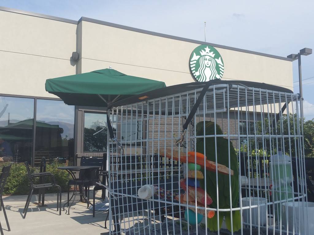 Starbucks | cafe | 17980 W Bluemound Rd, Brookfield, WI 53045, USA | 2627864384 OR +1 262-786-4384