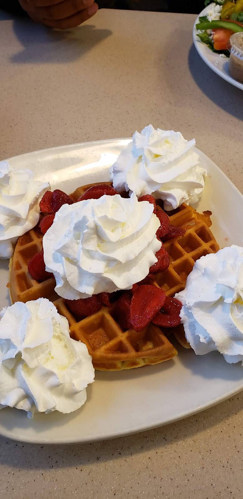 Leos Coney Island | restaurant | 193 S Livernois Rd, Rochester Hills, MI 48307, USA | 2486016200 OR +1 248-601-6200