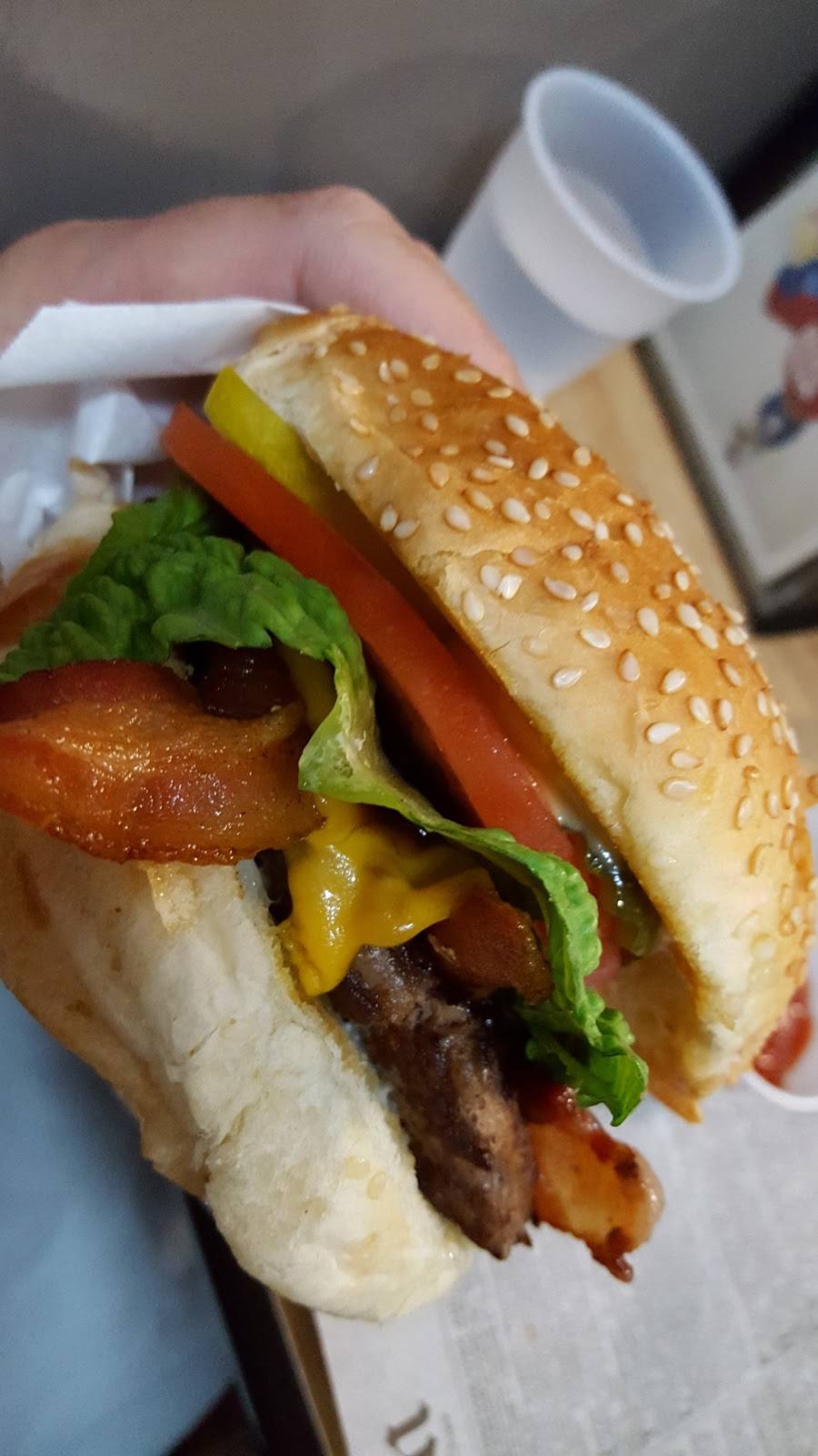 Sno-Flake Drive-In | restaurant | 3059 Lake Tahoe Blvd, South Lake Tahoe, CA 96150, USA | 5305446377 OR +1 530-544-6377