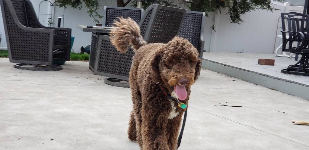 Clarksville Seafood Restaurant | restaurant | 916 Eastern Blvd, Clarksville, IN 47129, USA | 8122838588 OR +1 812-283-8588