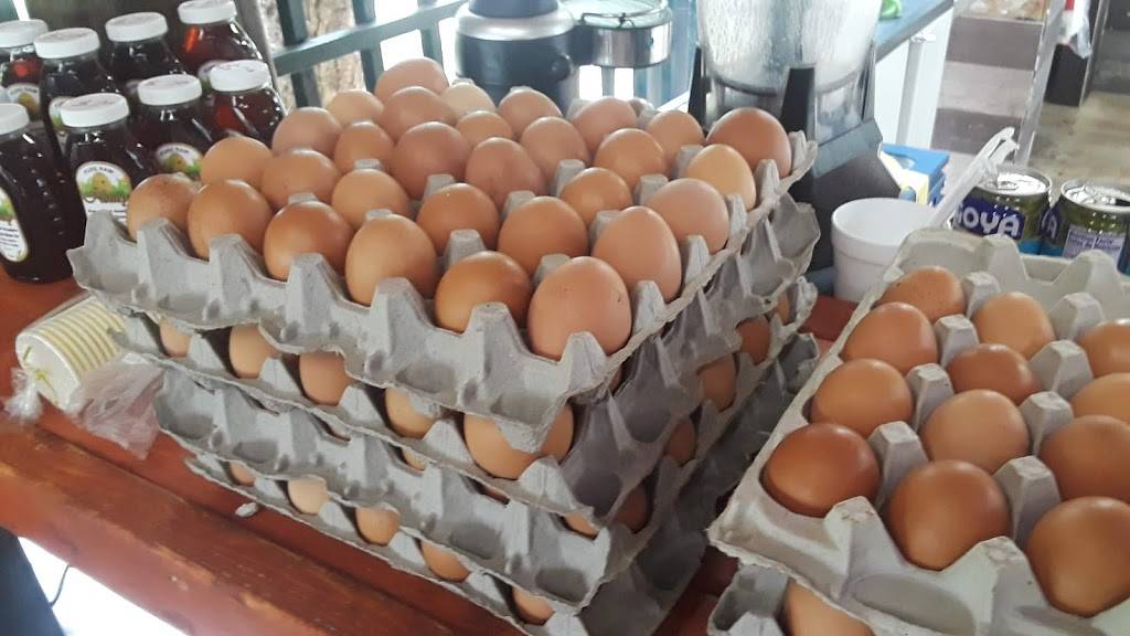 Rincón Cubano | restaurant | 14410 SW 200th St, Miami, FL 33177, USA | 3058127215 OR +1 305-812-7215